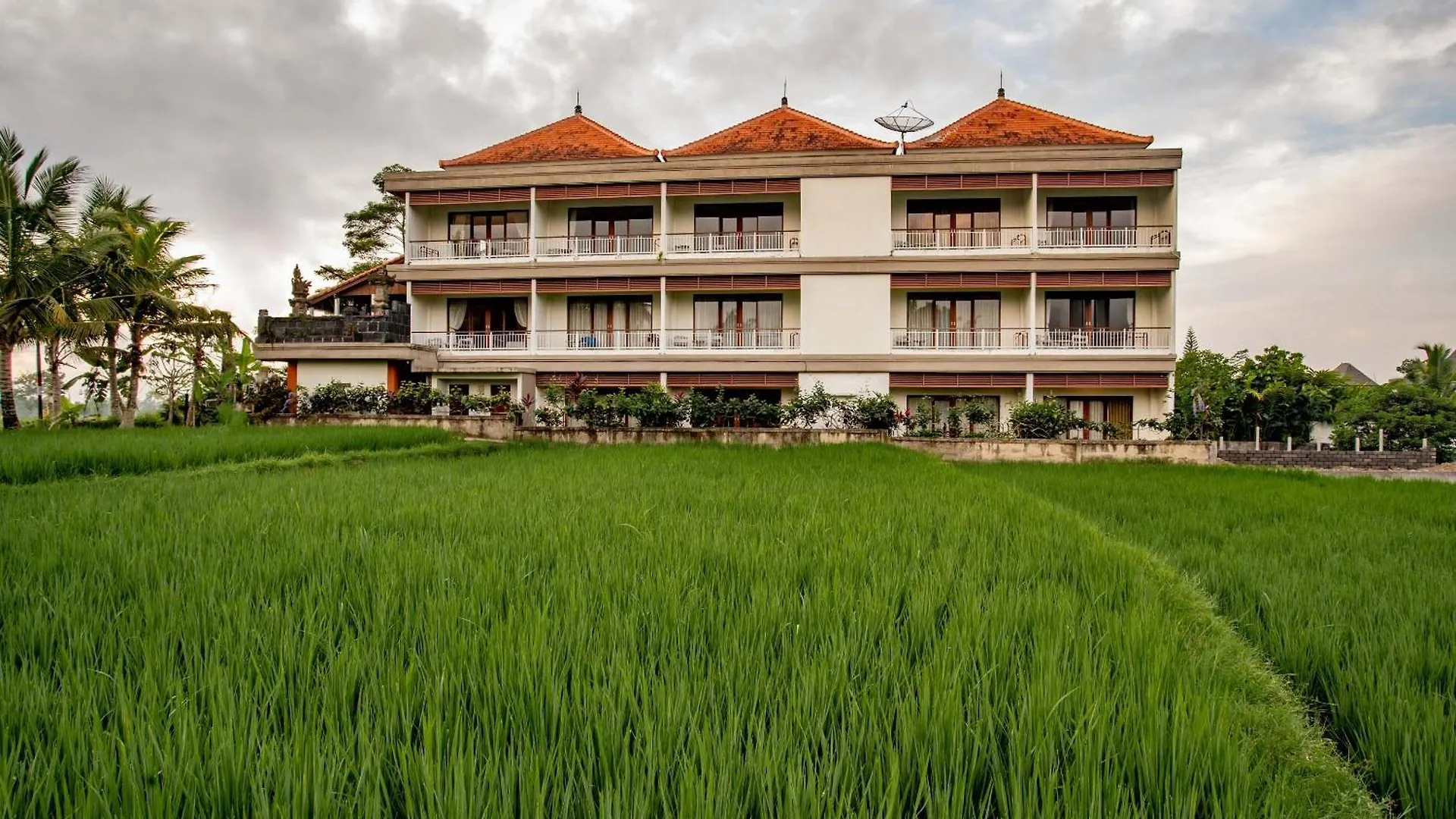 Paon Desa Ubud